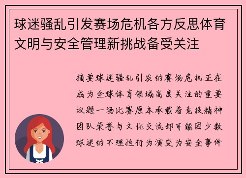 球迷骚乱引发赛场危机各方反思体育文明与安全管理新挑战备受关注